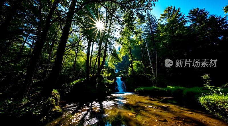 阳光森林瀑布溪流