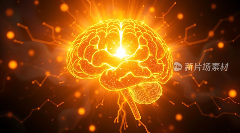 大脑新片场素材