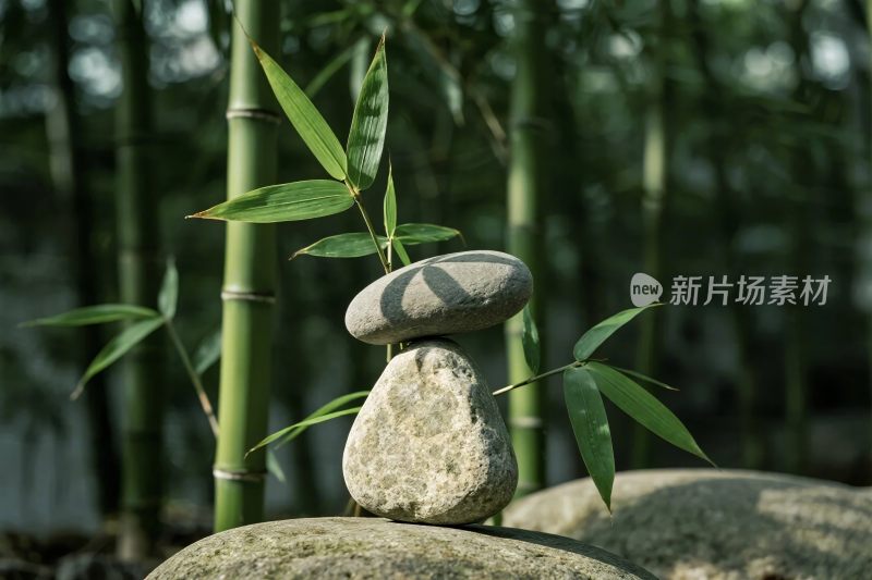 竹林间石堆静景