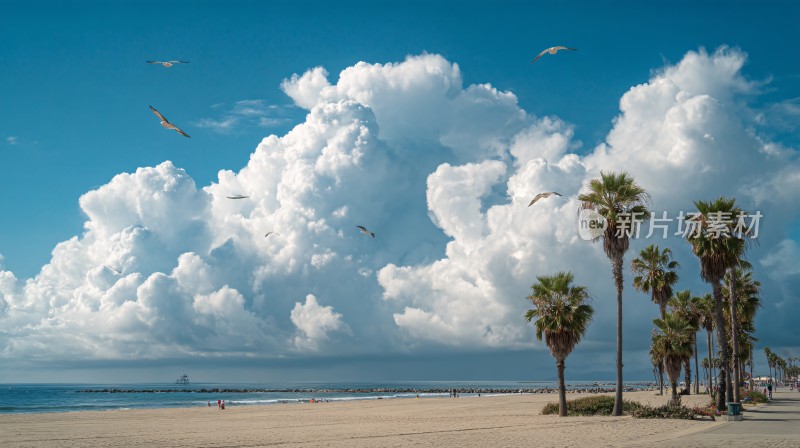 蓝天白云下的海滩与棕榈树