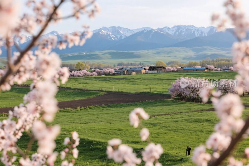 春日田园风景图