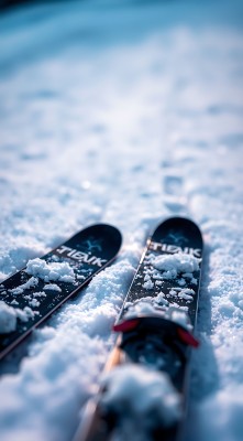 雪地上的滑雪板 雪地上的滑雪板