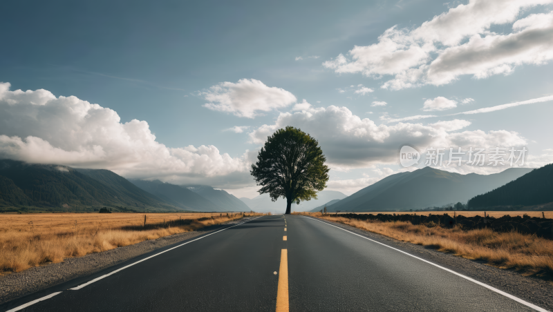 路边的一棵孤树风景风光高清图片