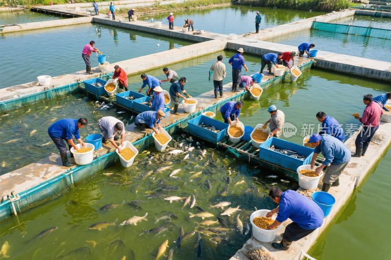 水产养殖作业场景