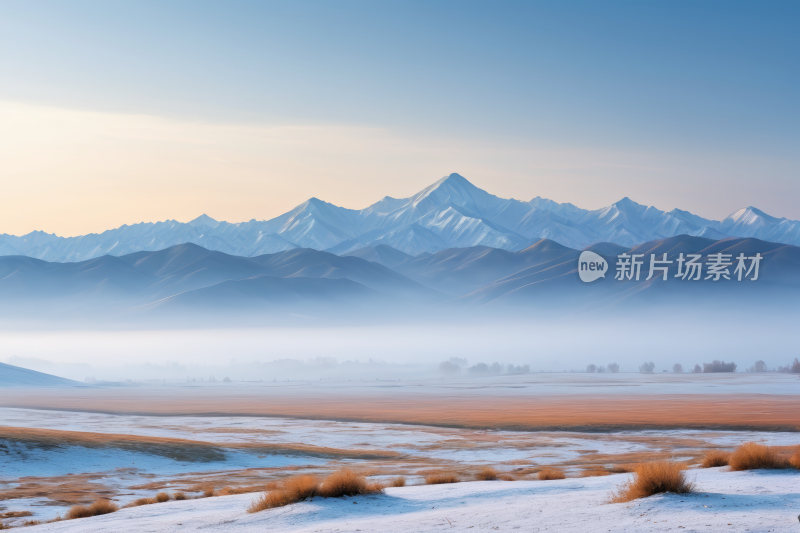 远处山脉一片白雪覆盖田野和几片灌木丛图片