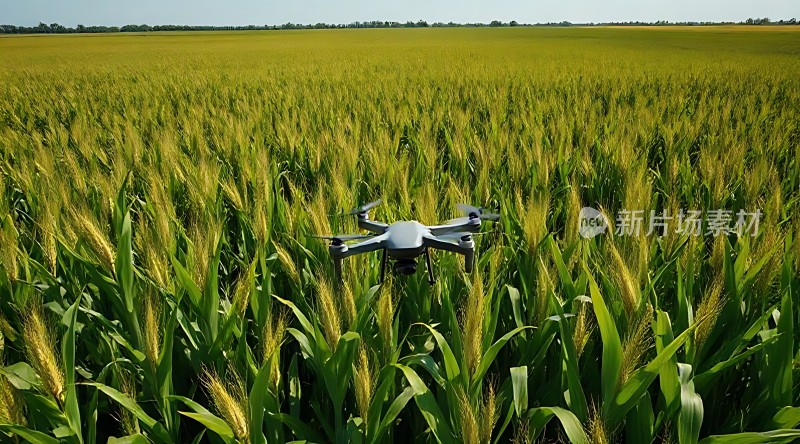 无人机巡田科技助力农业新篇章
