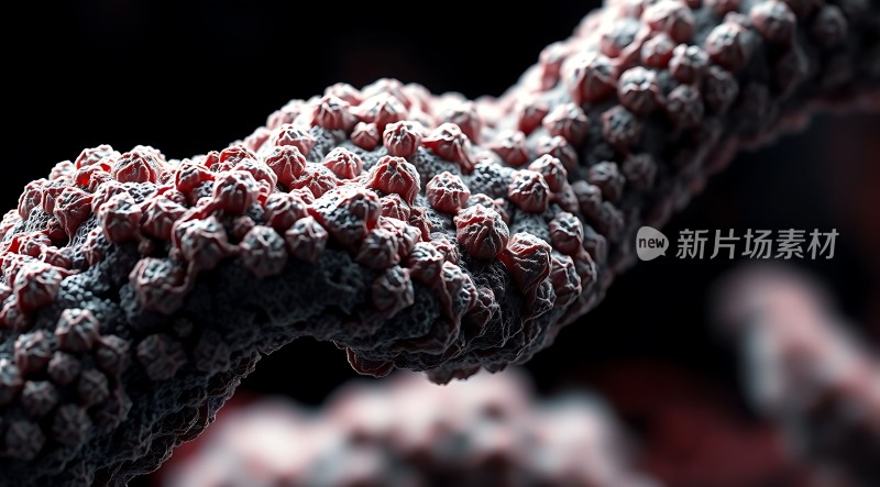 新片场素材微观世界探秘