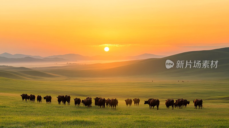 夕阳牛马