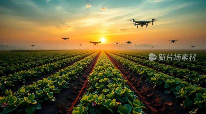 无人机监测农田生长状况