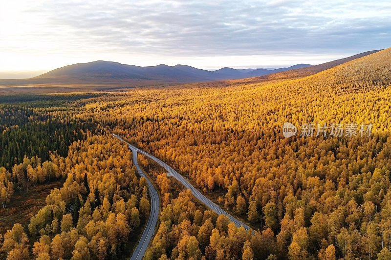 秋日山林间蜿蜒公路美景