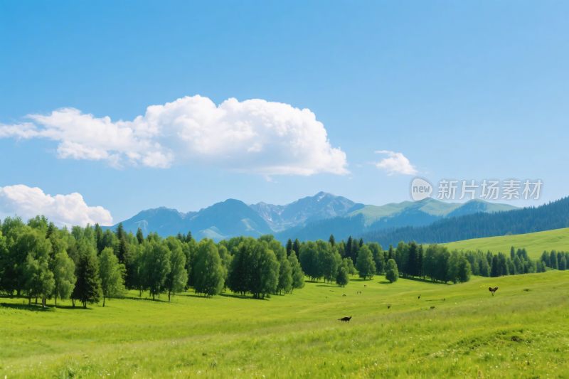 草原风景自然美景