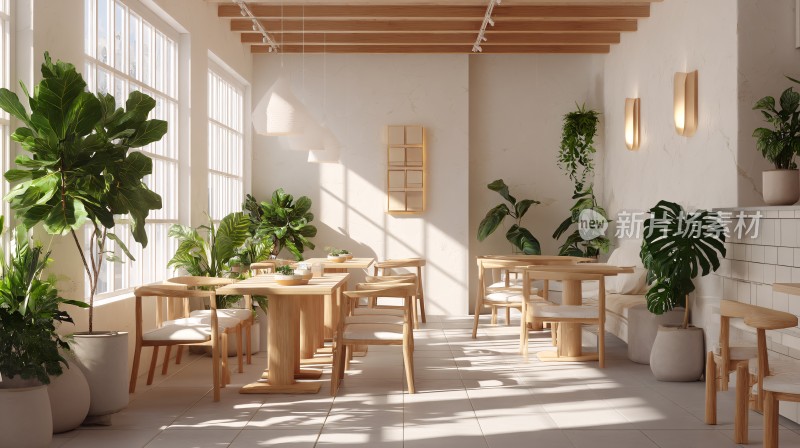 室内绿植环绕的温馨桌椅场景