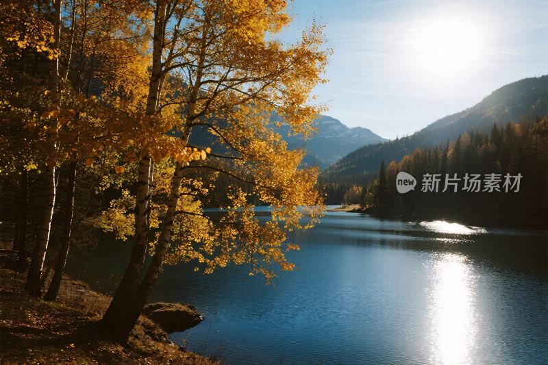 秋日山林湖泊美景