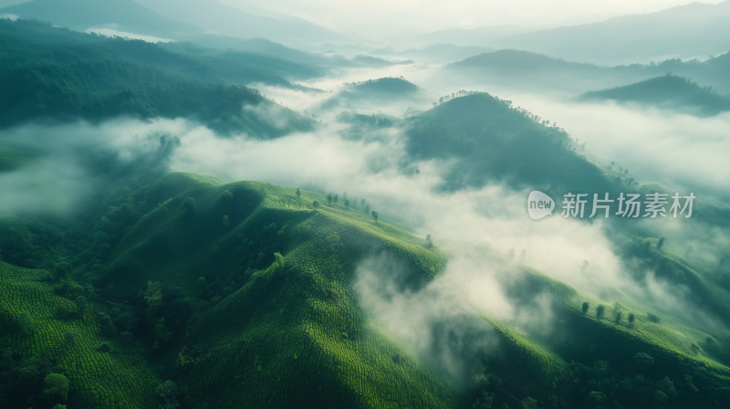 茶山14云海 山峦 山峰