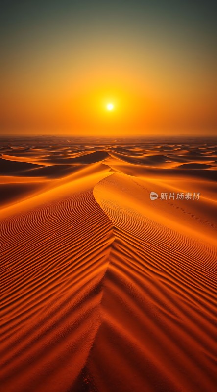 金色沙漠日落