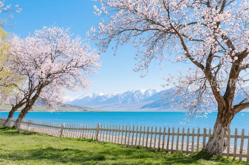 山水湖景桃花风景
