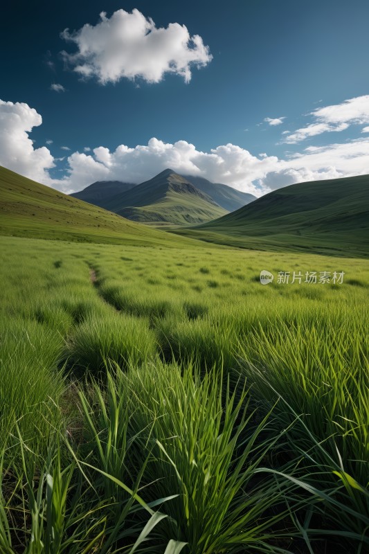 草地远处有山蓝天高清图片