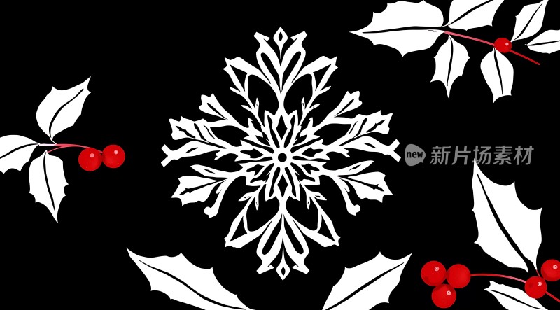 雪绒花与冬青叶