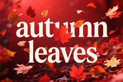 秋天落叶背景 秋天落叶背景