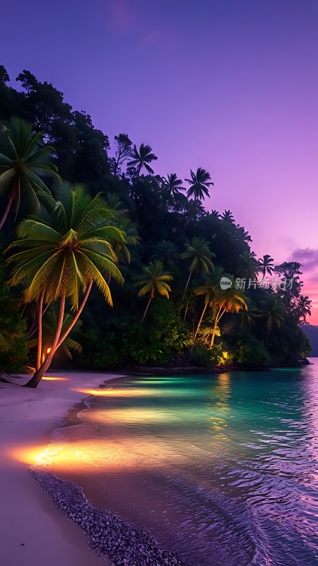 椰林晚霞映碧波