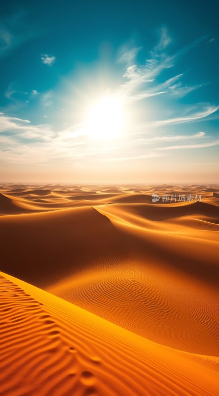 金色沙丘下的阳光之旅