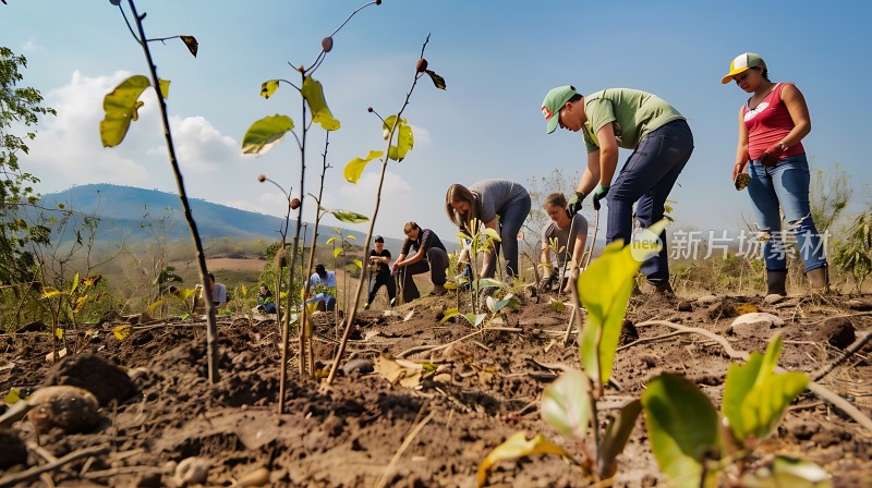 绿意盎然共筑生态未来