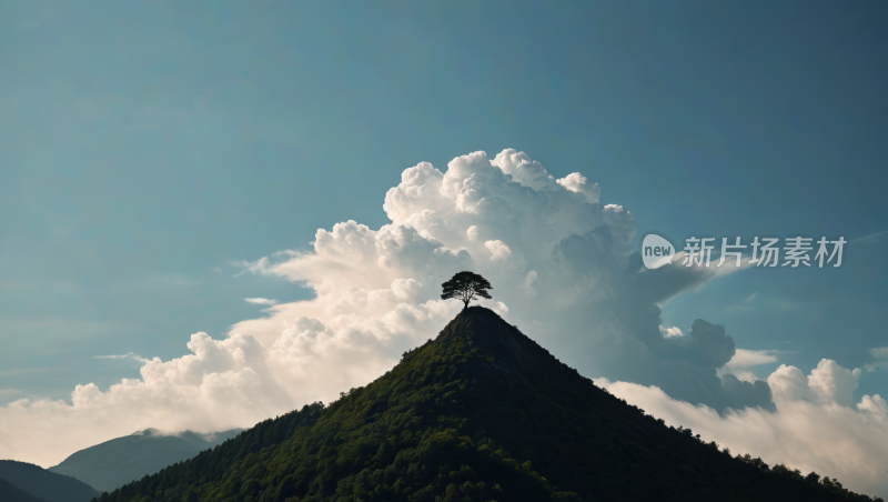 山上一棵孤树云高清图片