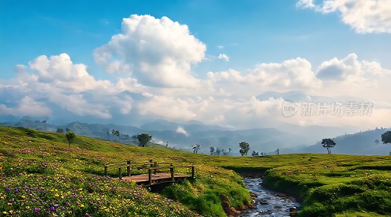 蓝天白云下的绿色草地和木桥