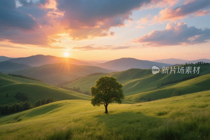 夕阳草原独树风景