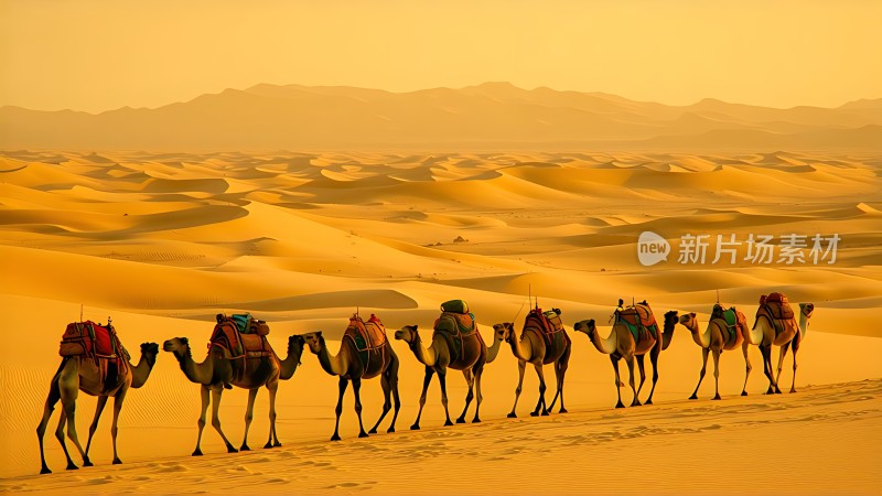 驼队穿越金色沙漠