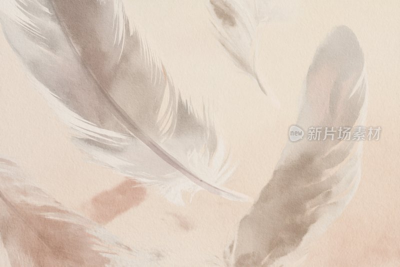 轻柔羽毛背景图案