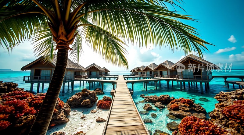 碧海蓝天下的水上木屋度假村