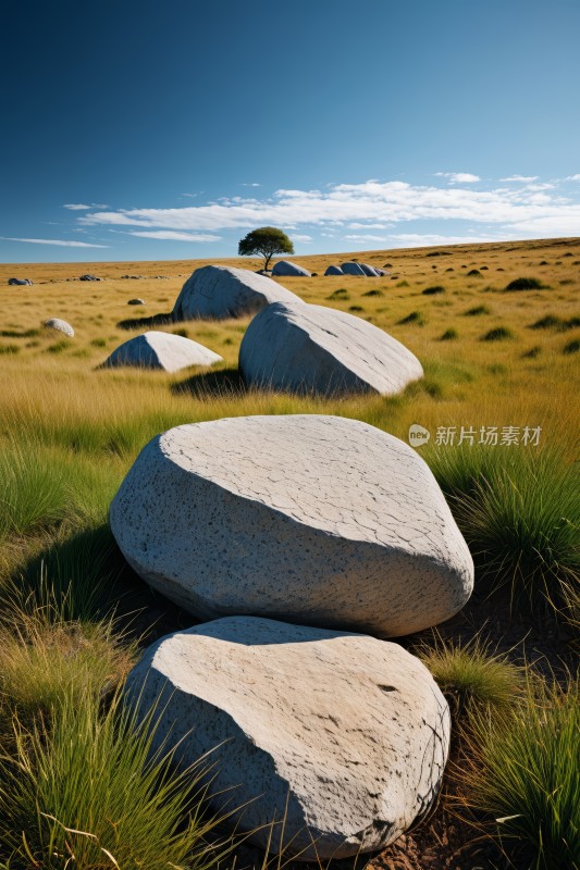 地上的草丛里有许多大石头高清图片