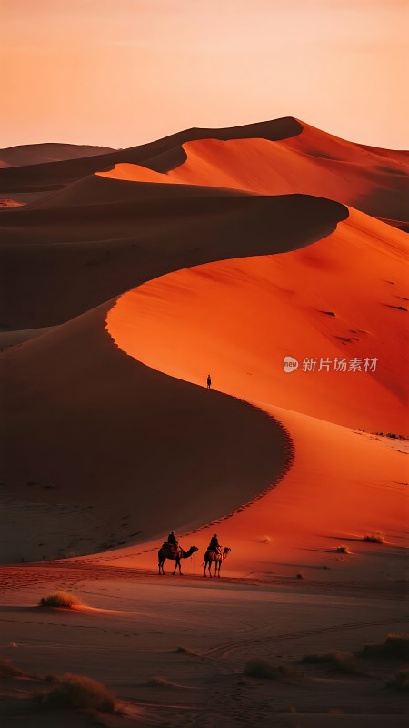 驼队穿越金色沙丘