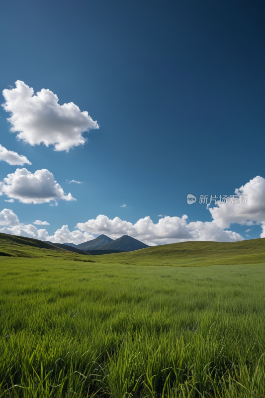 蓝天白天草原草地风景自然风光图片