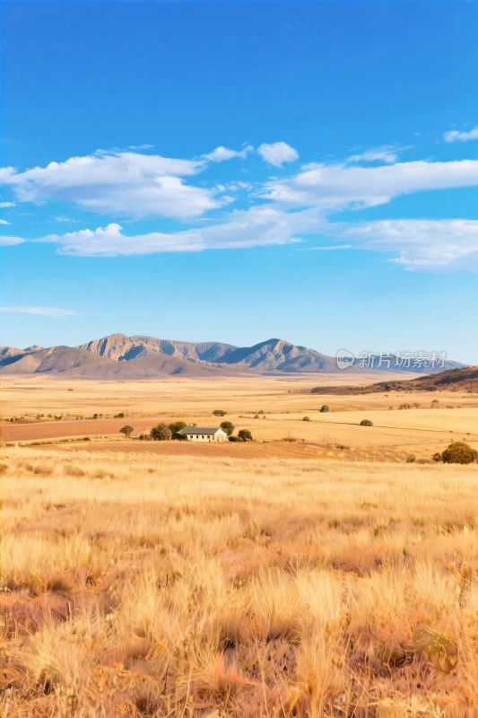 广袤草原与远山蓝天景致