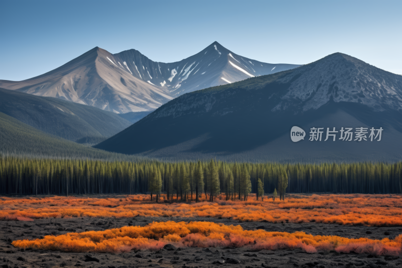 山上有雪橙色的草风光风景图片