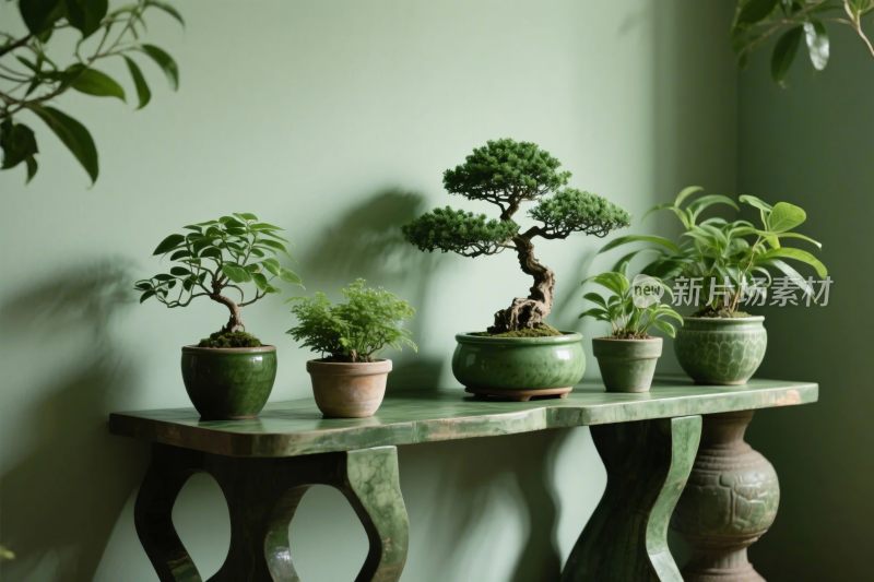 室内绿植盆栽布置