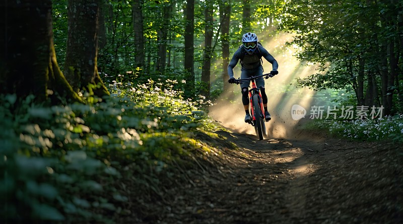 阳光下的骑行者穿越森林小径