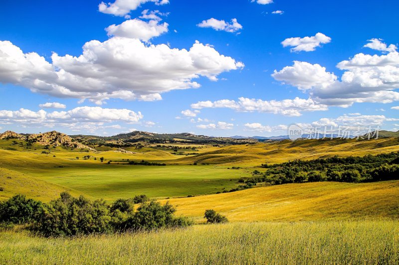 广袤草原与蓝天白云美景
