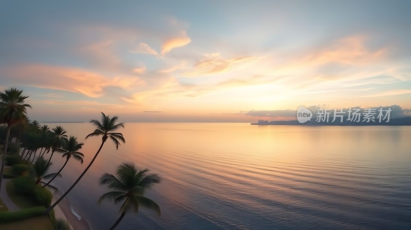 椰林晚霞映碧波
