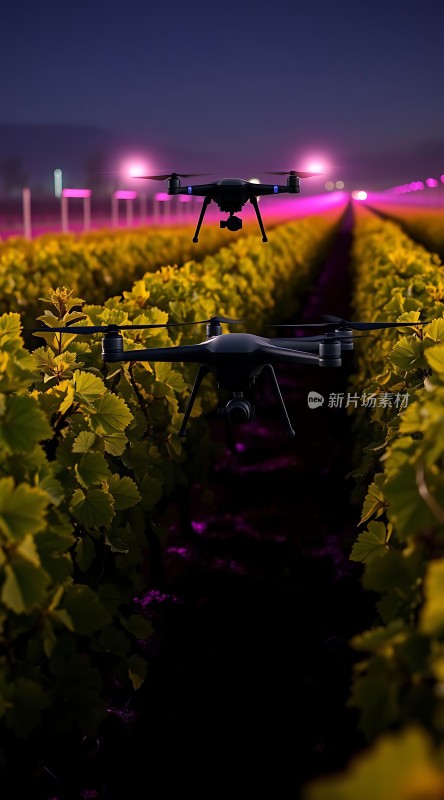无人机夜航监测农作物生长状况