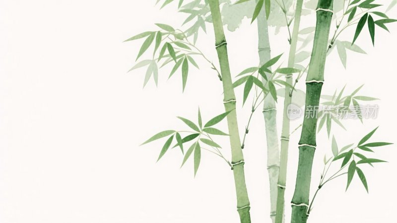 水墨竹子插画