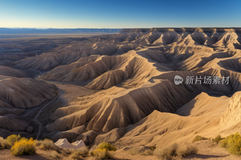 掠夺沙漠景观前景一些山丘和灌木丛高清图片