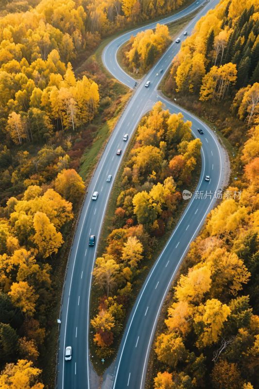 秋日蜿蜒公路航拍美景