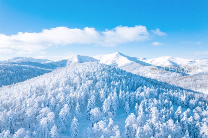 雪山雪景森林画面