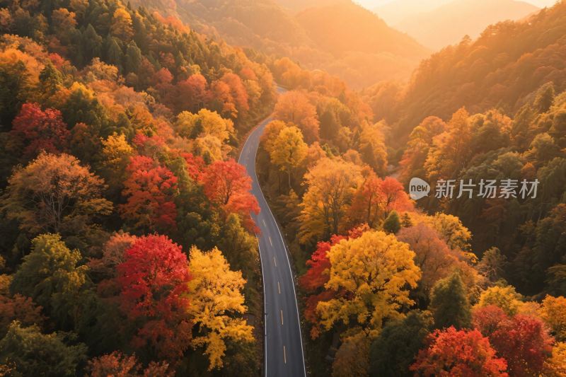 秋日山间蜿蜒公路美景