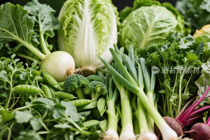 新鲜蔬菜集合