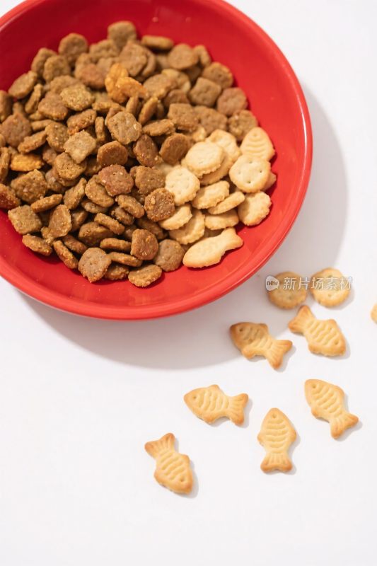 红色碗中装着宠物食品