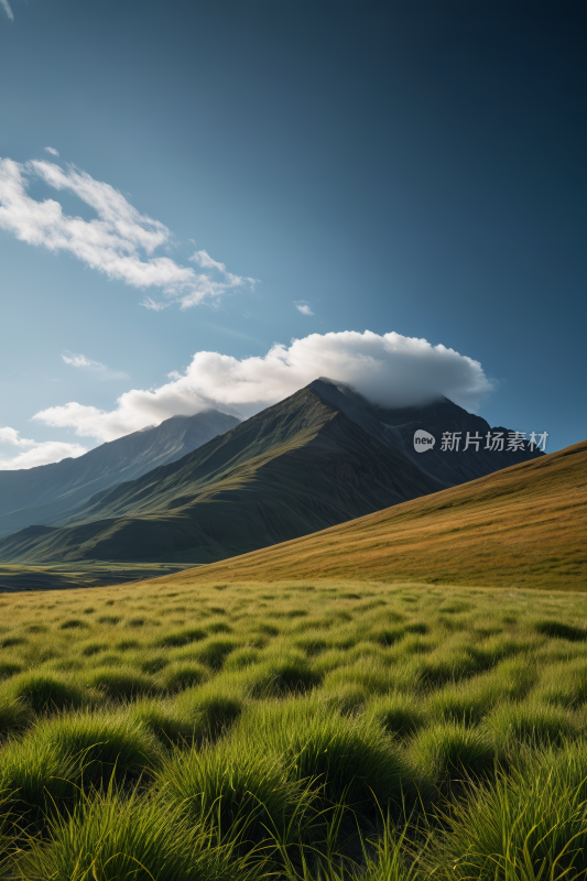 草地一座高山清风景图片